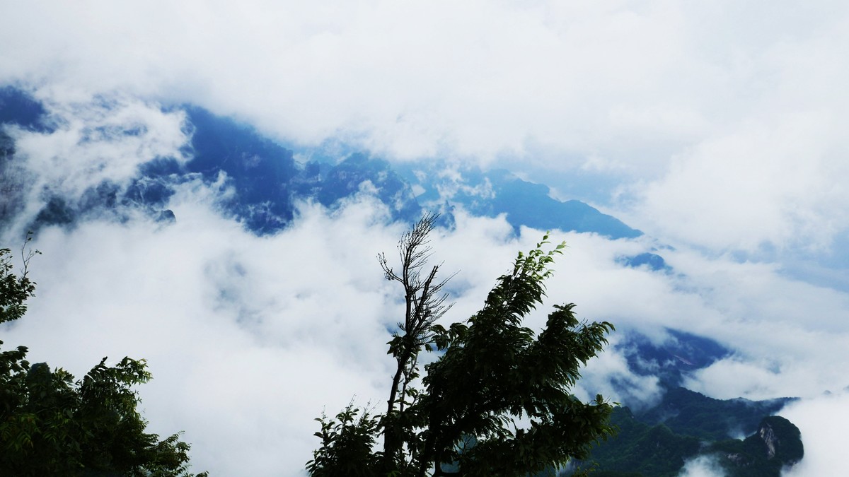 湖北张家界——天工神笔画丹青，遗落凡间醉苍生