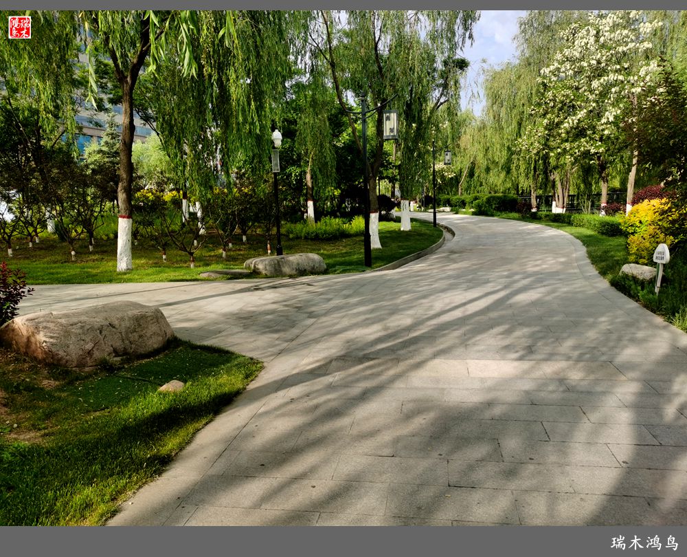 【红签到好雪】28.丝路河畔