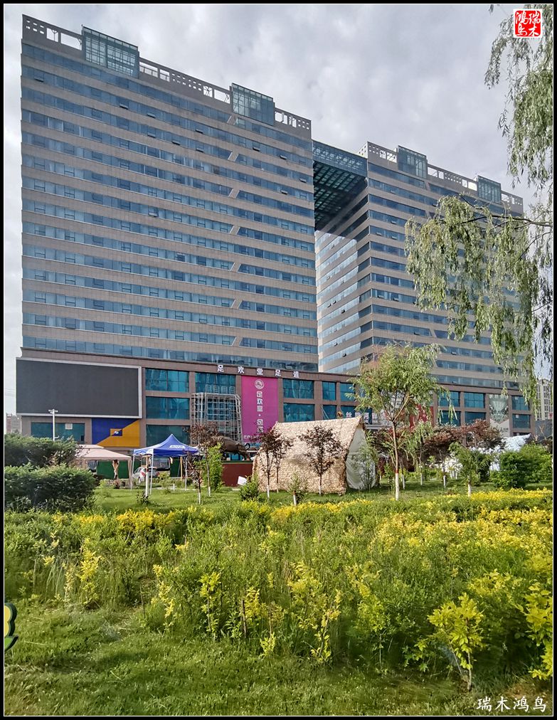 【红签到好雪】28.丝路河畔