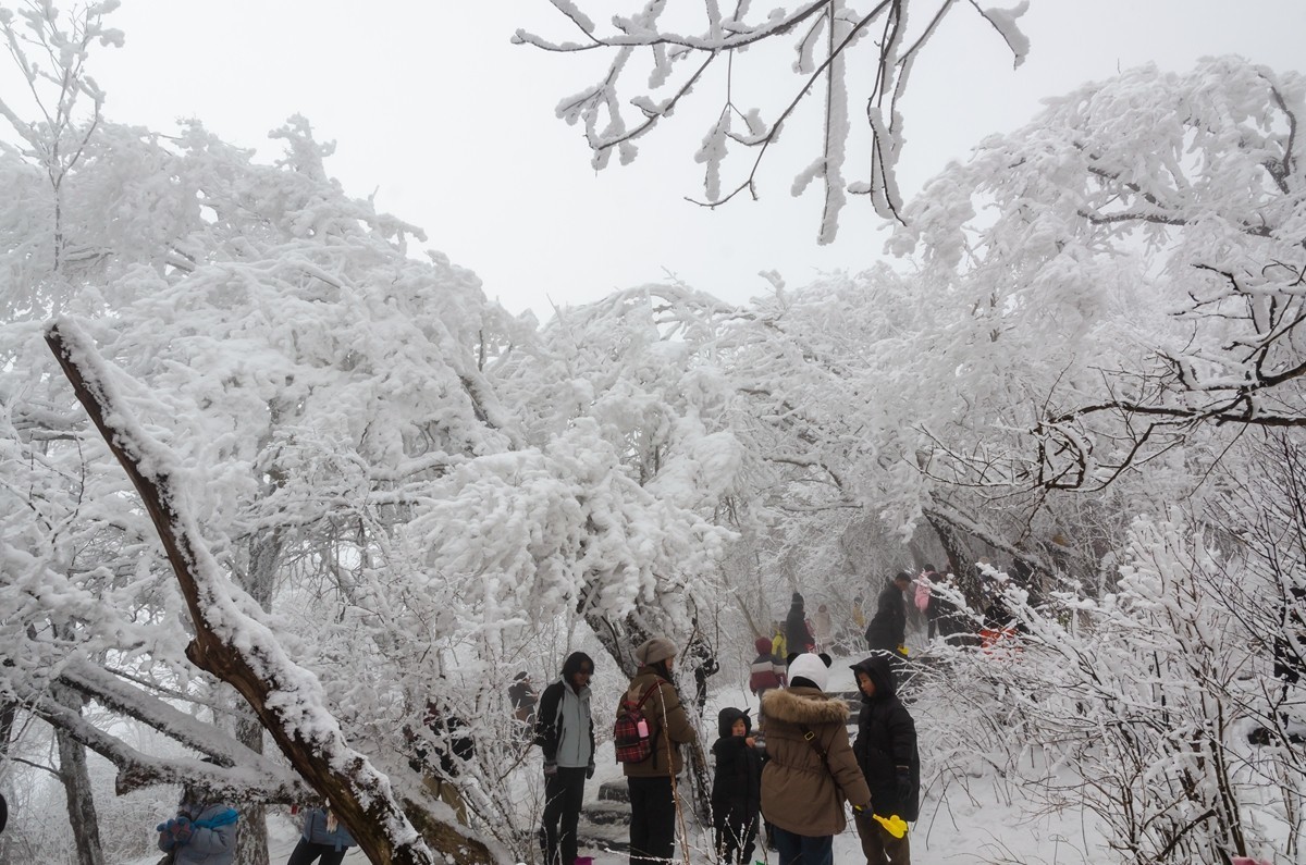 春节游汉中龙头山随拍二