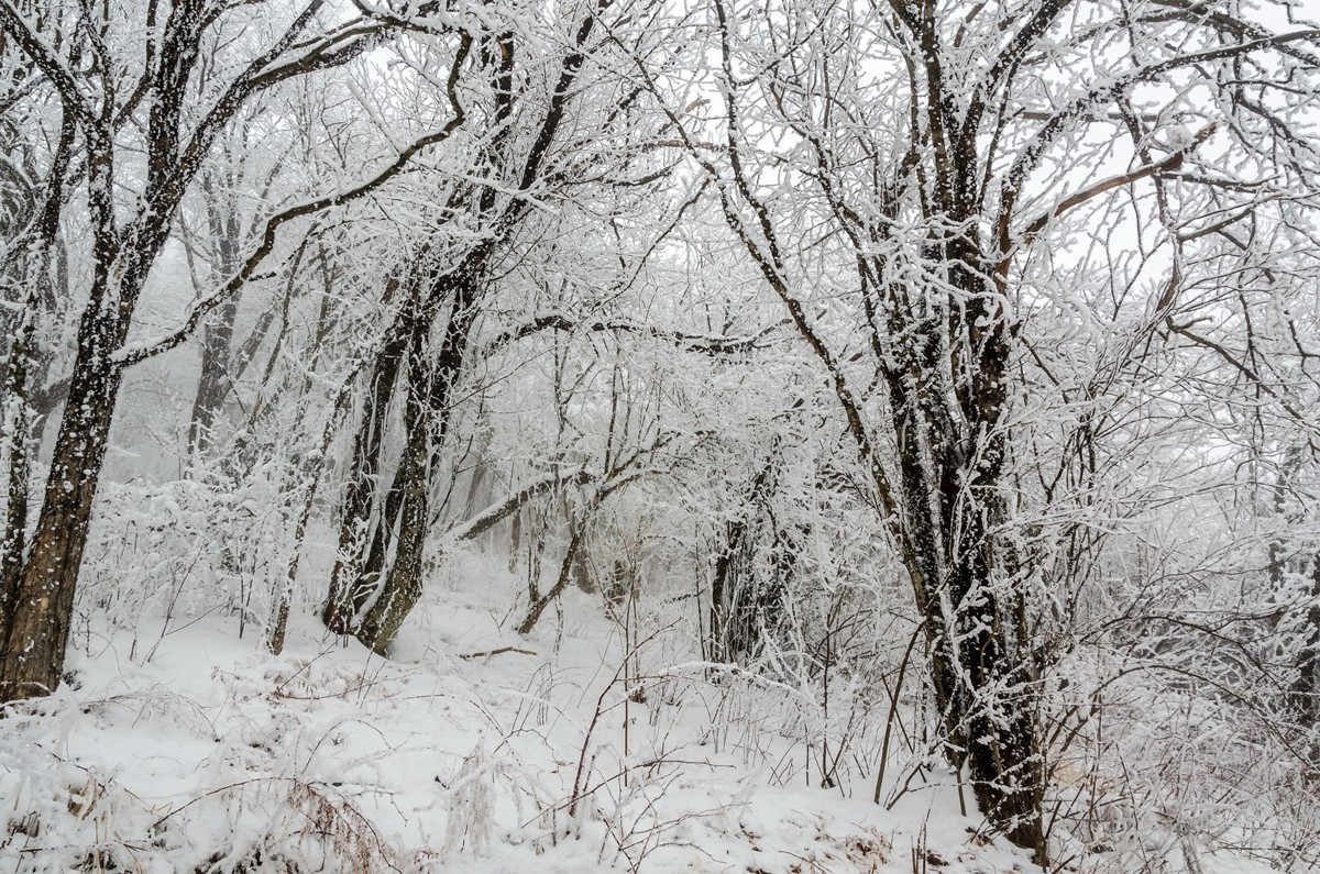 春节游汉中龙头山随拍二