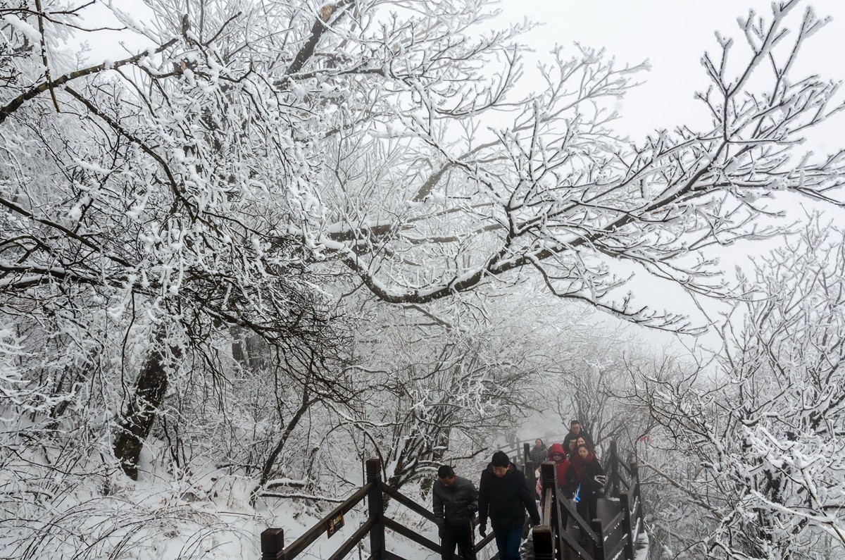 春节游汉中龙头山随拍二