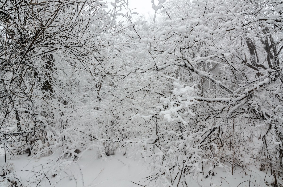 春节游汉中龙头山随拍二