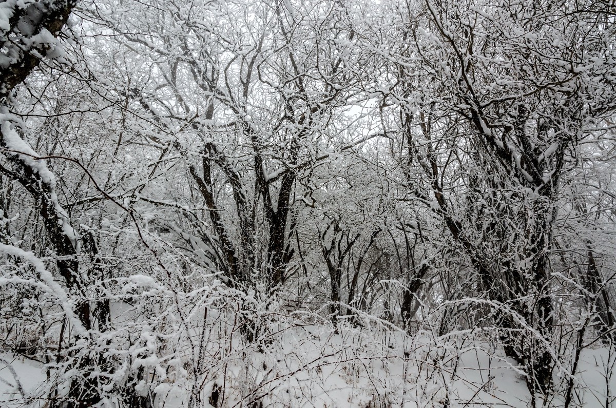 春节游汉中龙头山随拍二