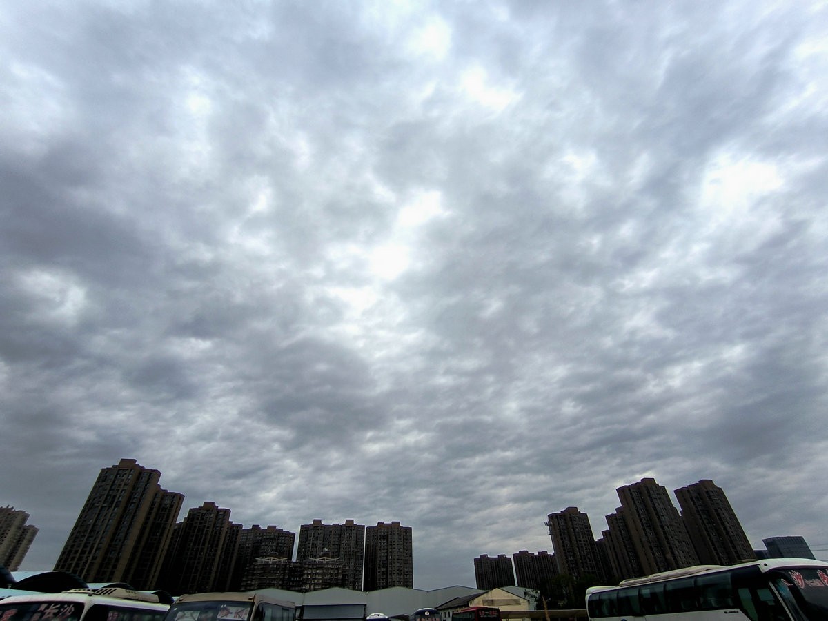 漫步星城 走街串巷（474）盛夏无蝉鸣