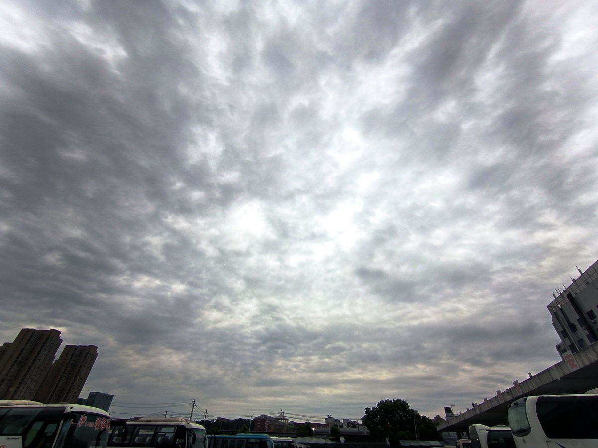 漫步星城 走街串巷（474）盛夏无蝉鸣