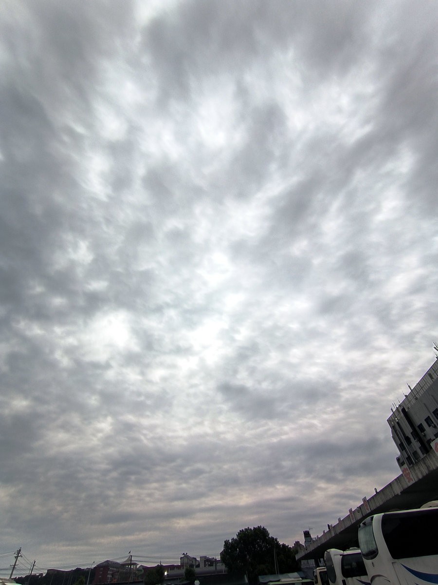 漫步星城 走街串巷（474）盛夏无蝉鸣