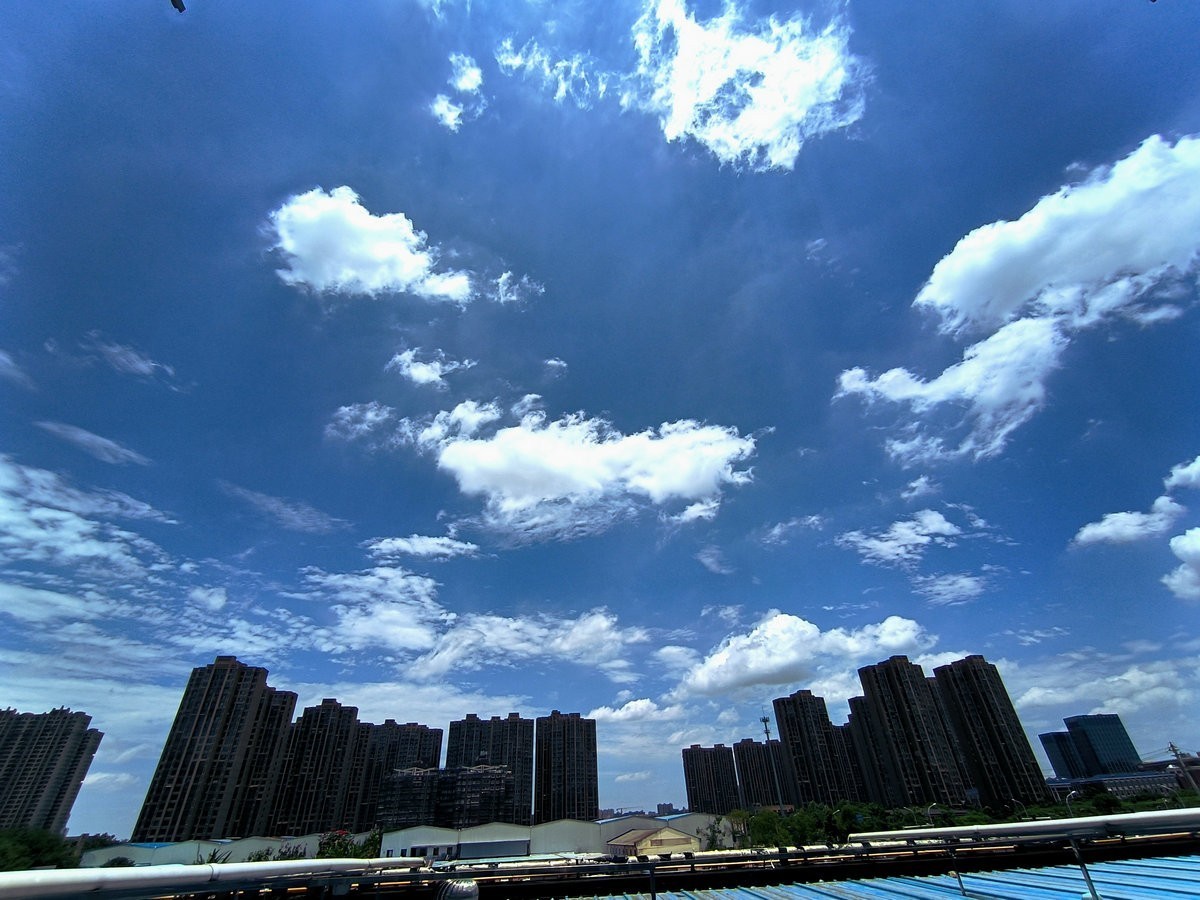 漫步星城 走街串巷（474）盛夏无蝉鸣