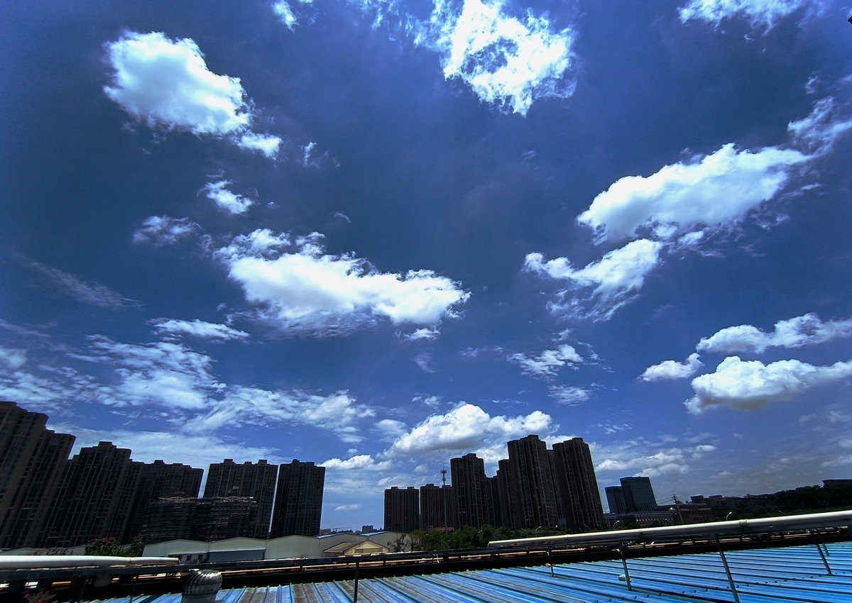 漫步星城 走街串巷（474）盛夏无蝉鸣