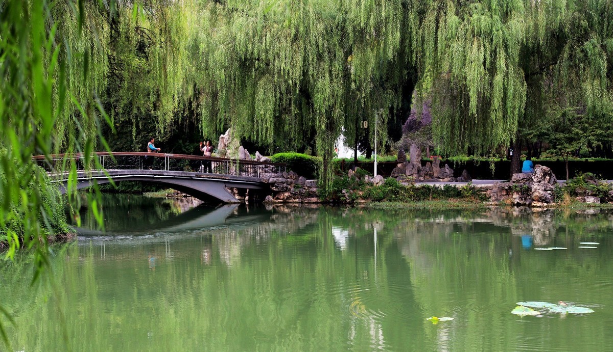 西苑公园6