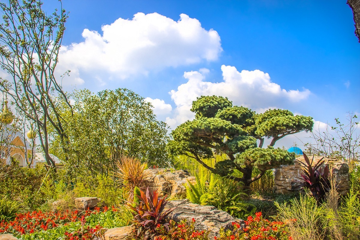 2022-02-14扬州世博园岩石公园