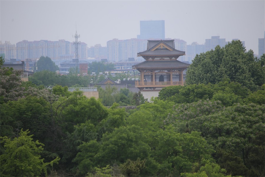 街拍洛阳的景区和美女