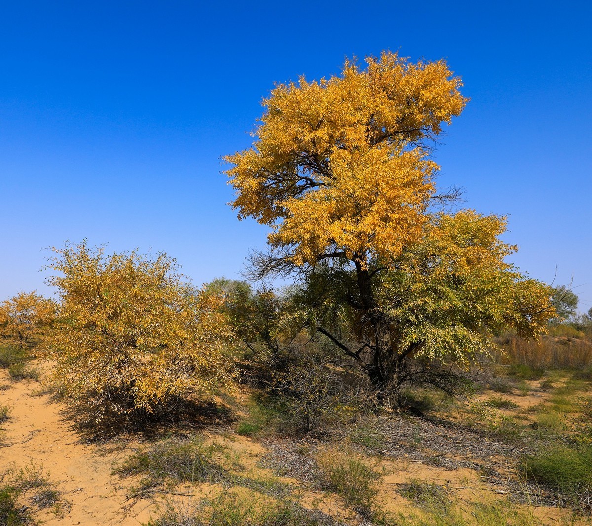 我只是把出去看到的随手记录下来（四十三）