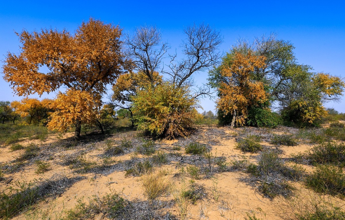 我只是把出去看到的随手记录下来（四十三）