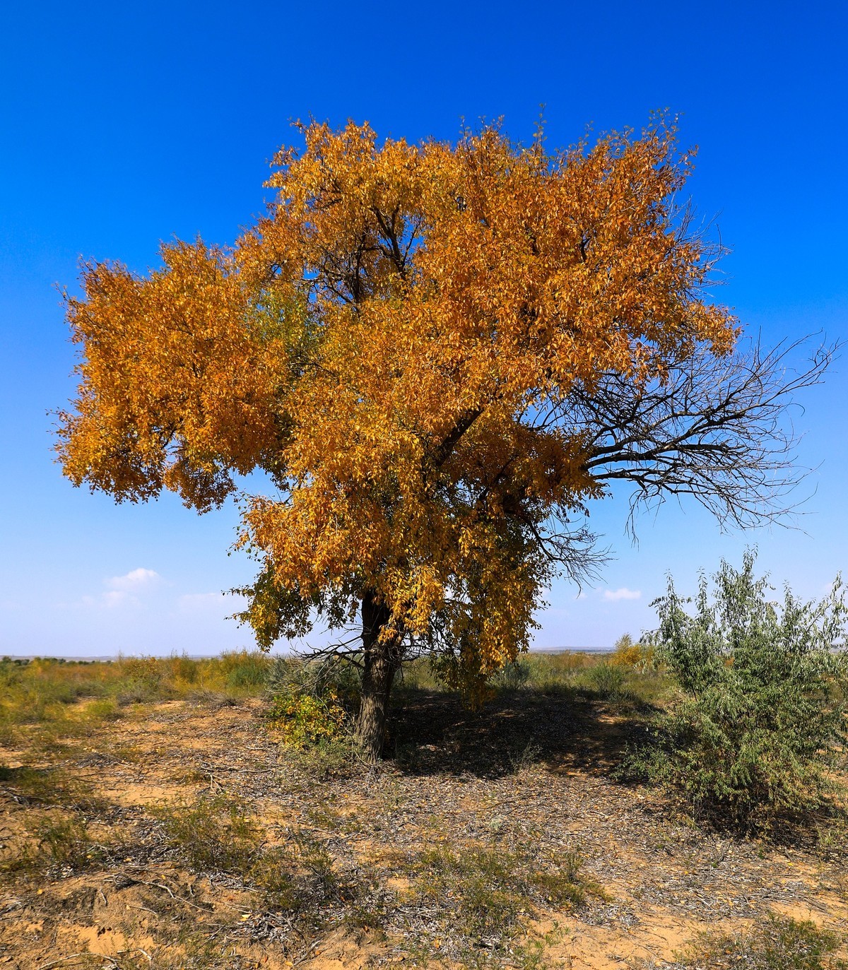 我只是把出去看到的随手记录下来（四十三）