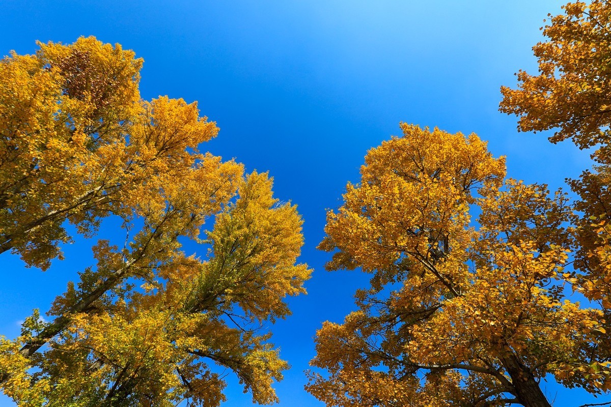 我只是把出去看到的随手记录下来（四十三）