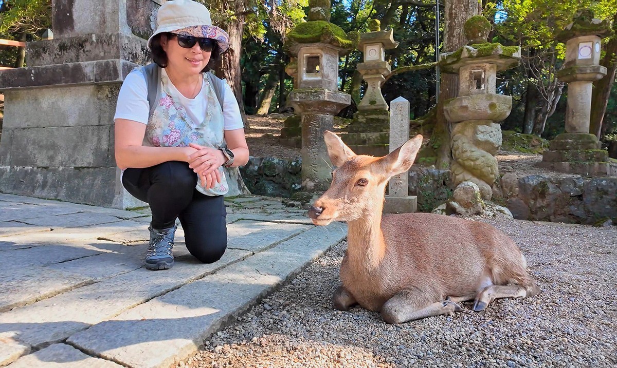 日本奈良-神鹿