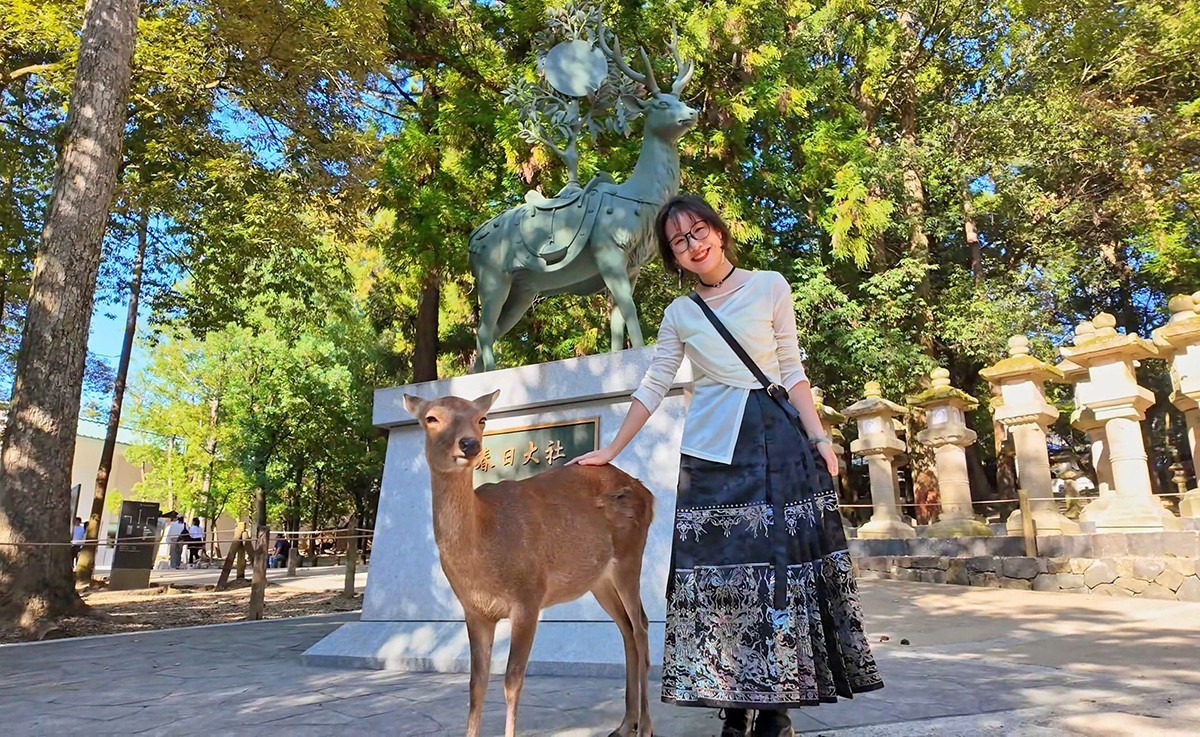 日本奈良-神鹿