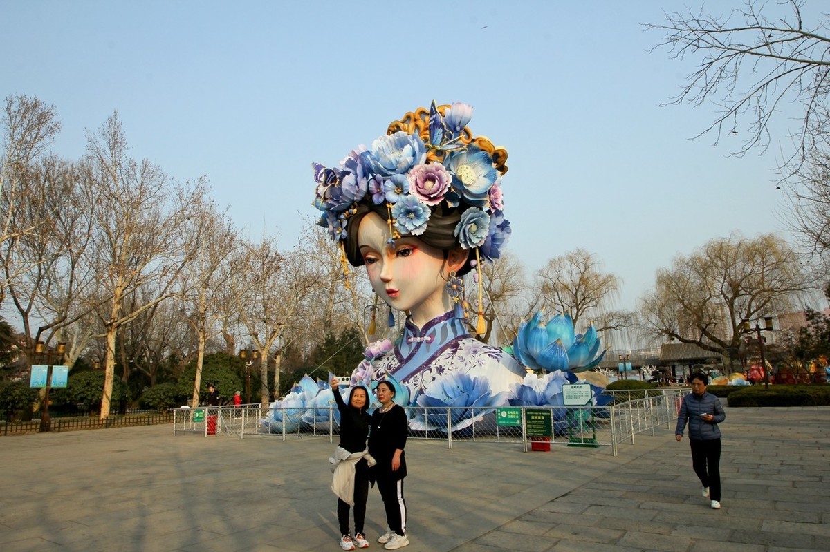 杂拍——明湖夏雨荷●迎春花●黑天鹅
