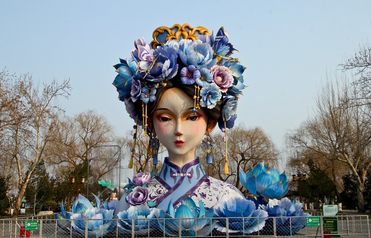 杂拍——明湖夏雨荷●迎春花●黑天鹅