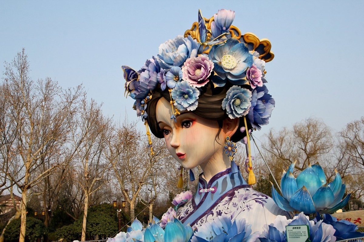 杂拍——明湖夏雨荷●迎春花●黑天鹅