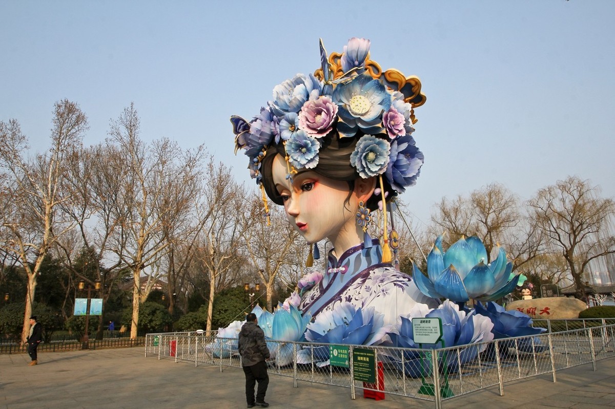 杂拍——明湖夏雨荷●迎春花●黑天鹅