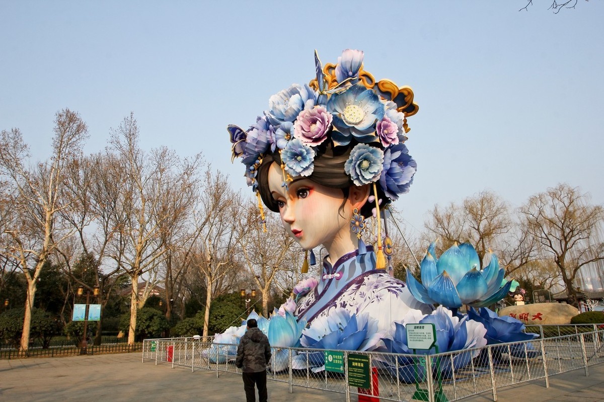 杂拍——明湖夏雨荷●迎春花●黑天鹅