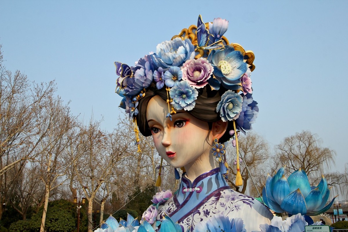 杂拍——明湖夏雨荷●迎春花●黑天鹅