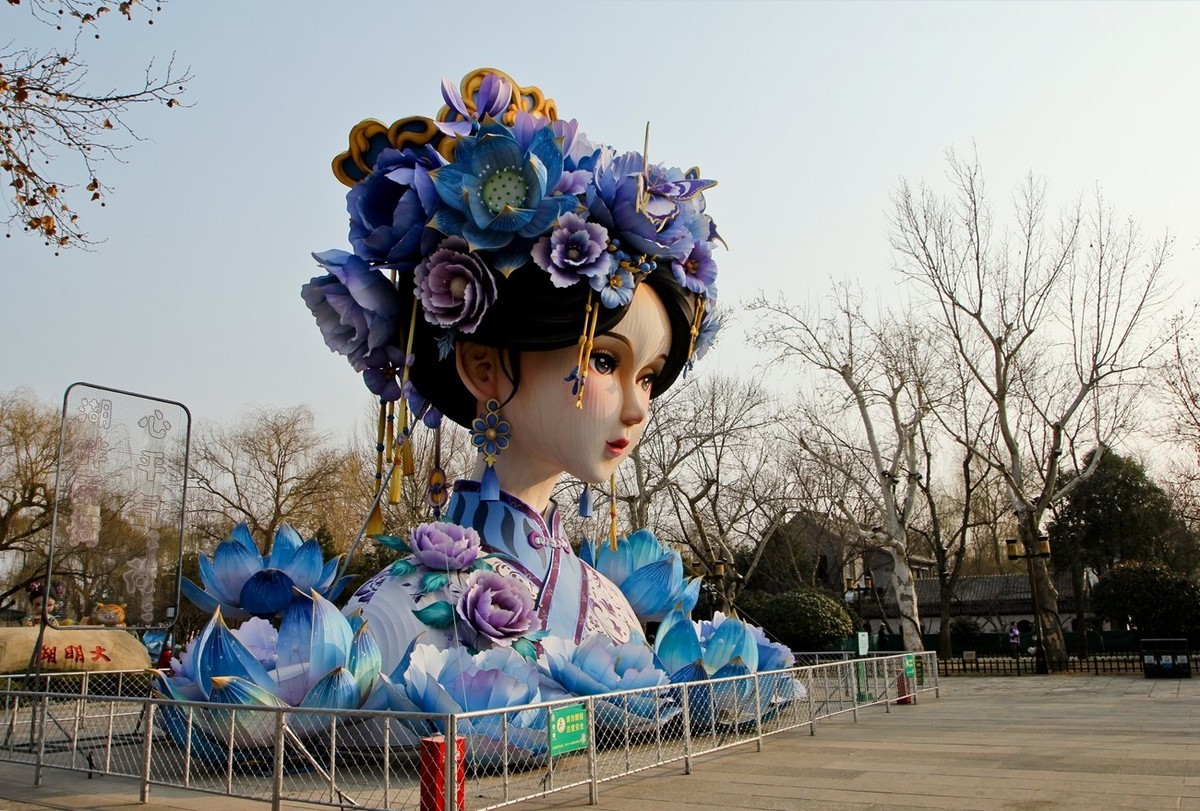 杂拍——明湖夏雨荷●迎春花●黑天鹅