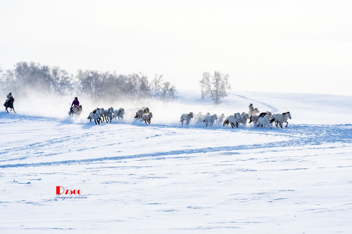 策马奔腾（53）