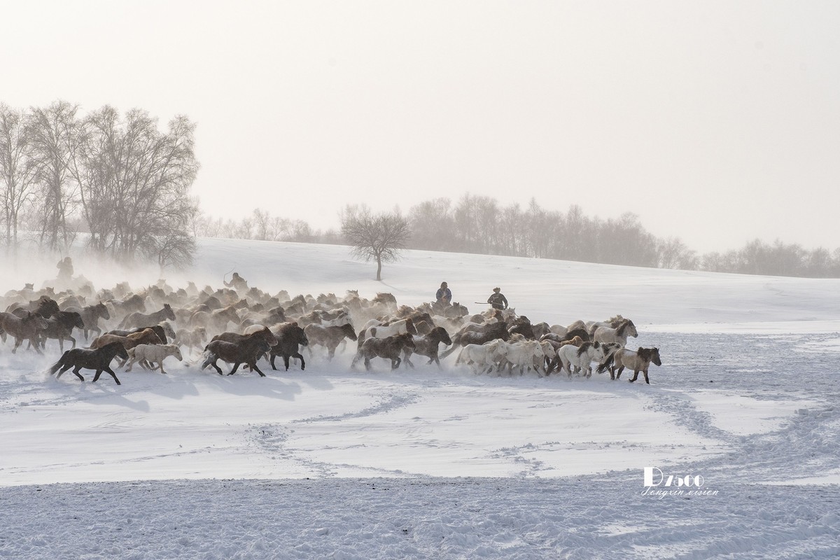 策马奔腾（53）