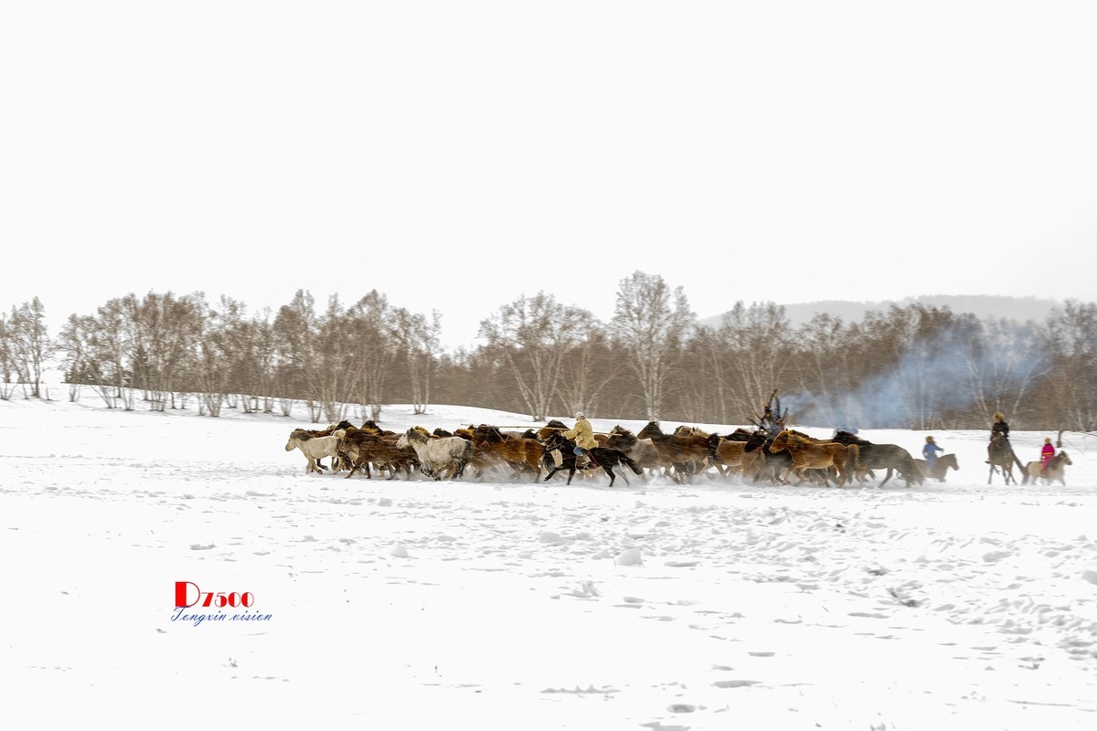 策马奔腾（53）