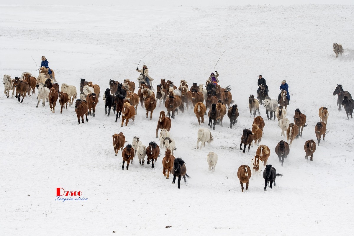 策马奔腾（53）
