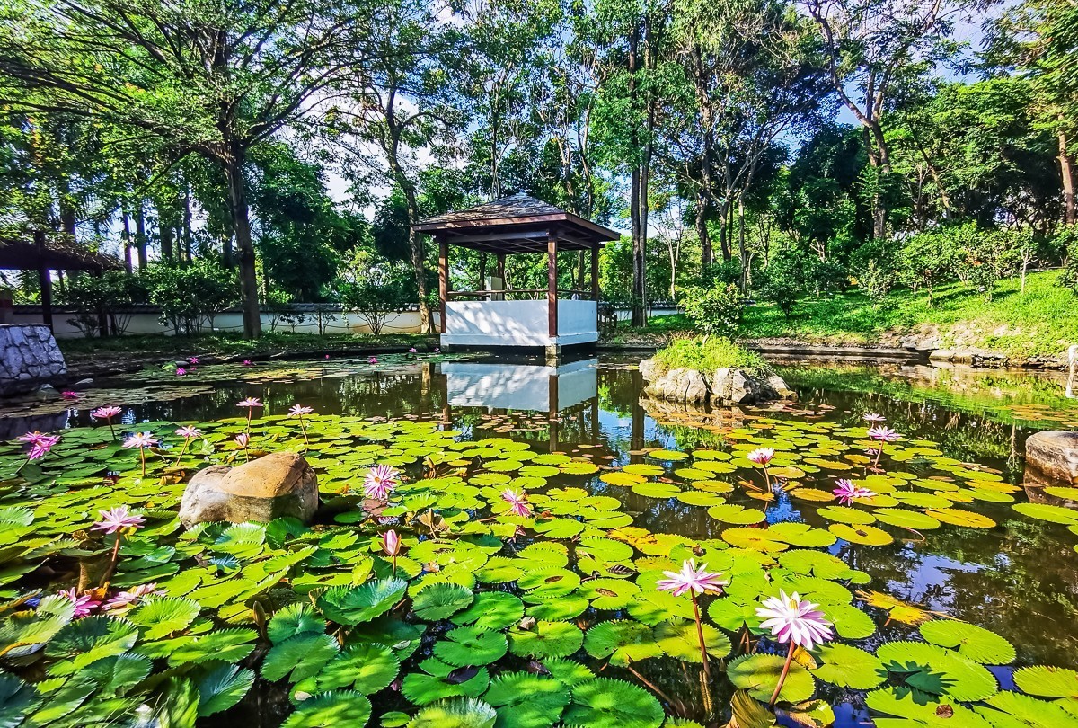 深圳园博园掠影