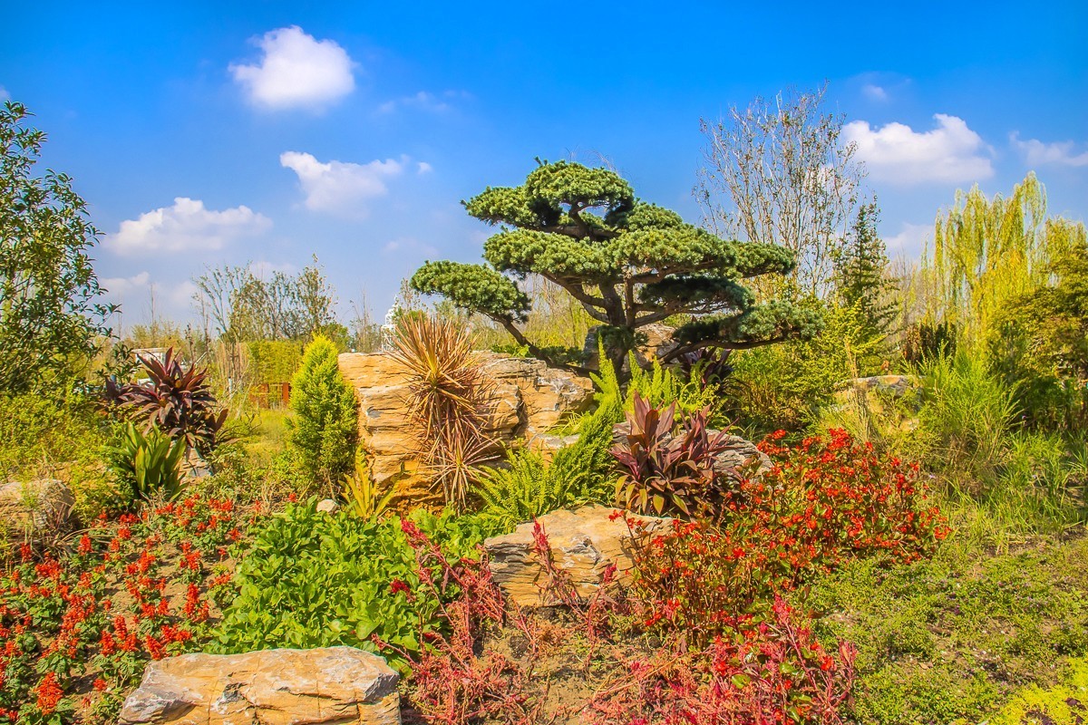 2022-02-14扬州世博园岩石公园