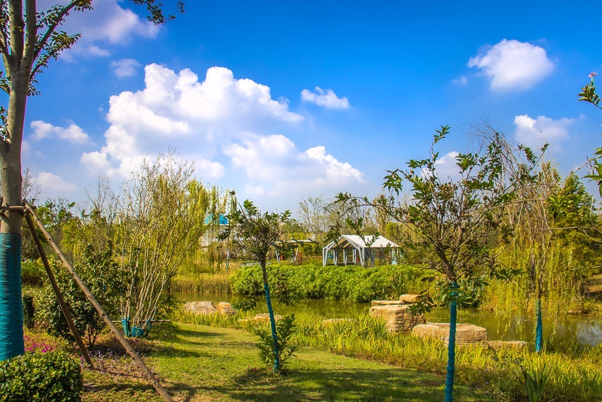 2022-02-14扬州世博园岩石公园