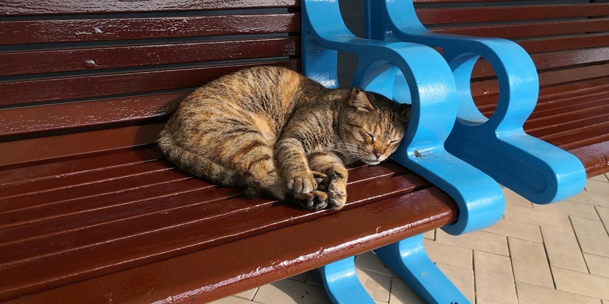 留影“阿布扎比”（阿联酋）