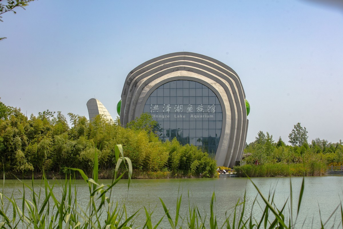 洪泽湖湿地公园