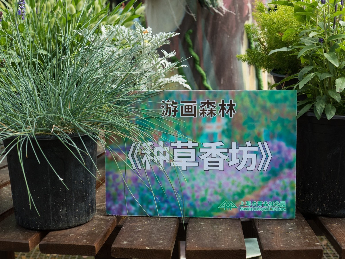 第二十三届都市森林百花展（2）