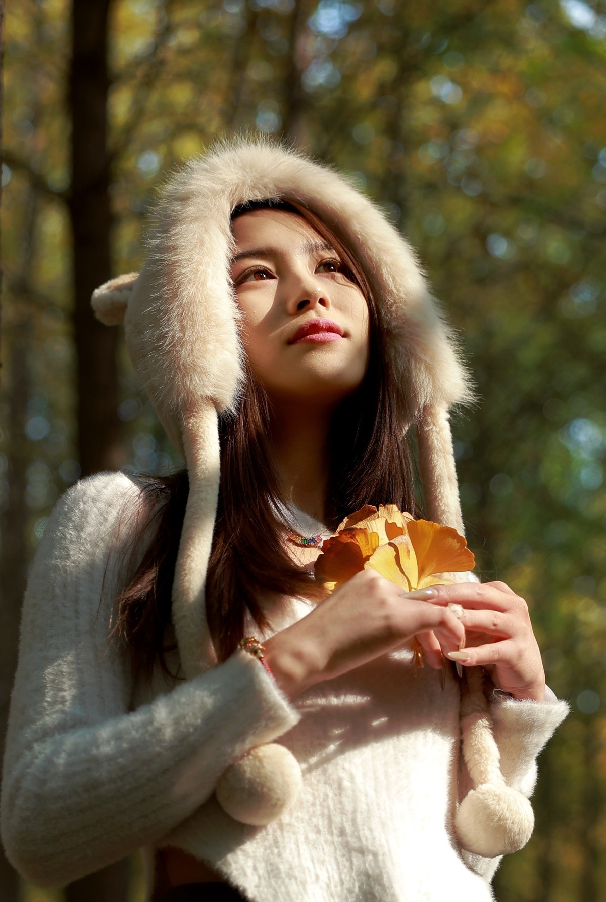 汉阳陵银杏林外拍