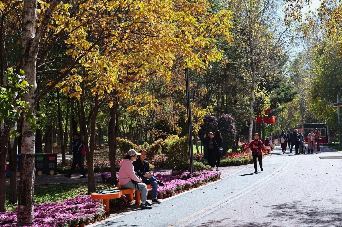 假日遊园 . 黛秀   2