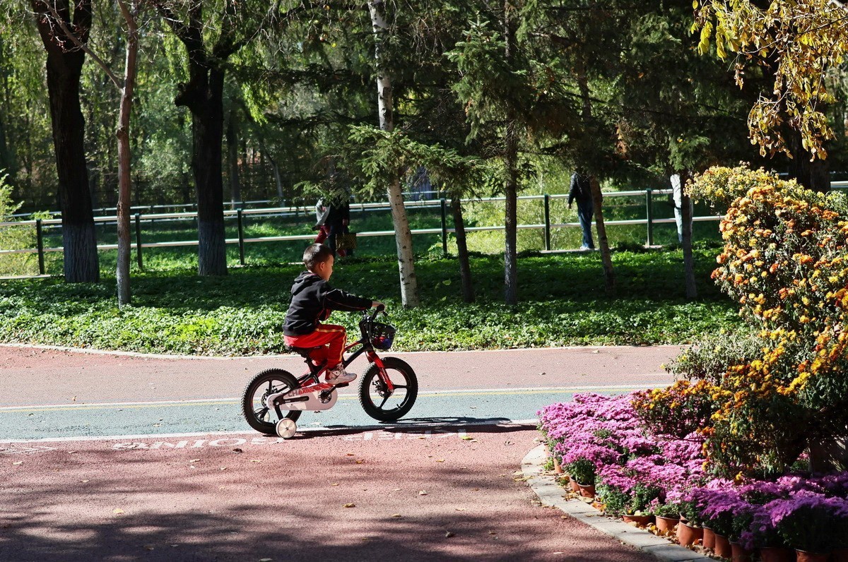 假日遊园 . 黛秀   2