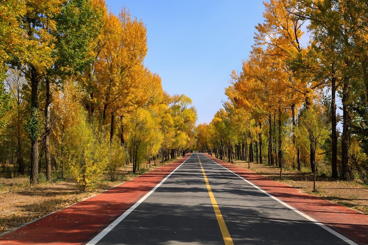 我只是把出去看到的随手记录下来（四十三）