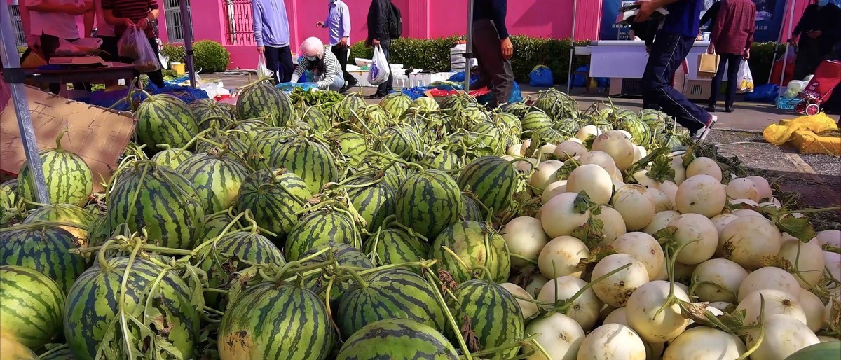 手机视频截图 魔都刚刚燃起的人间烟火气息