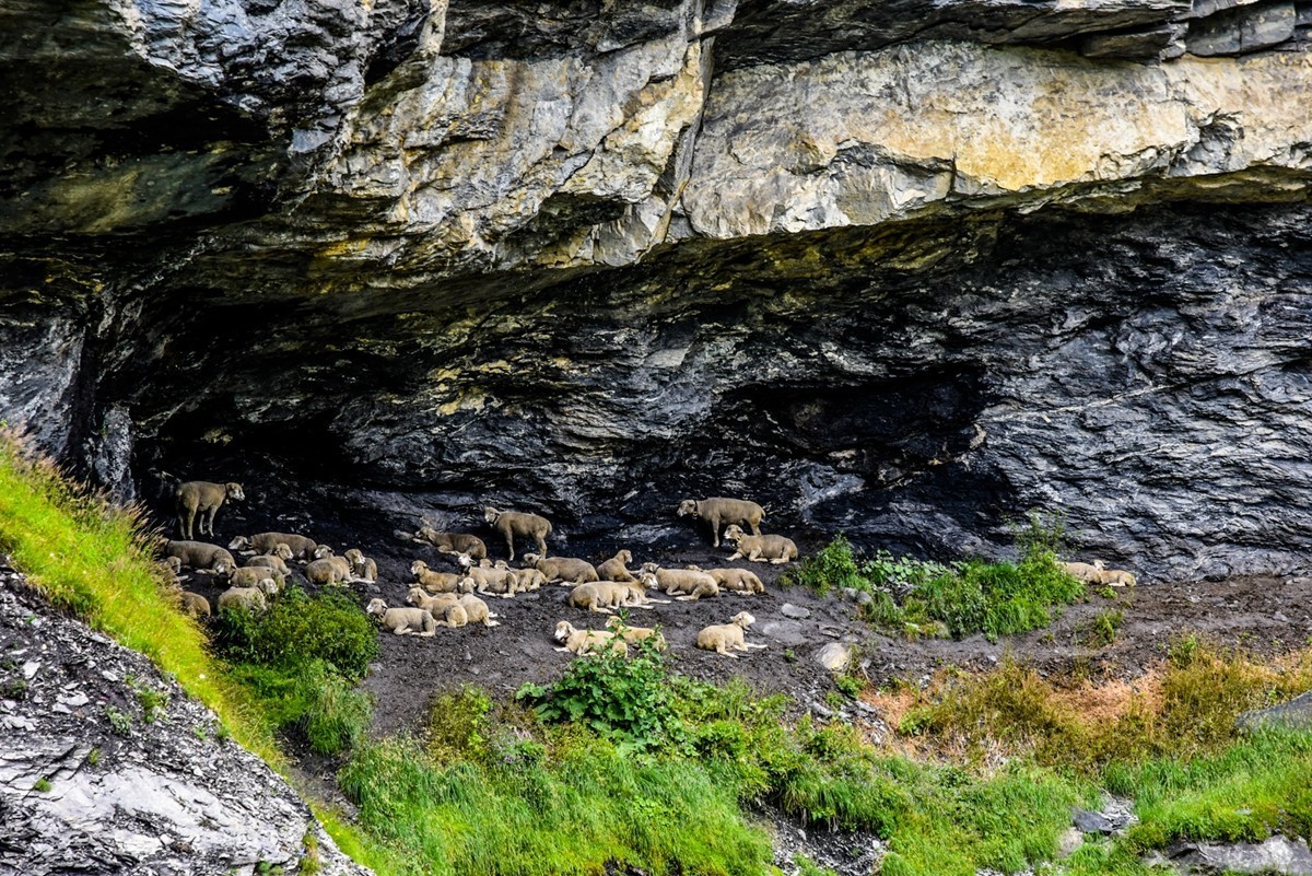 踏山观水瑞士行