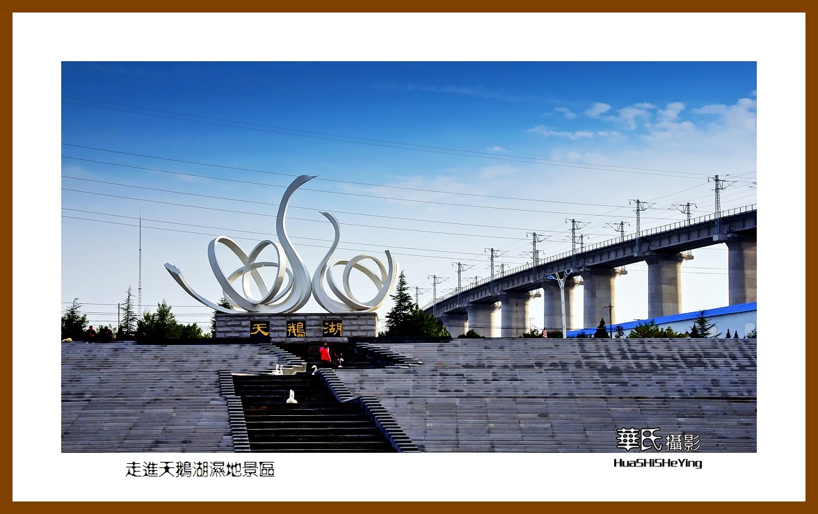 2020西西南北行游走河南010—走进天鹅湖湿地景区（三门峡市）