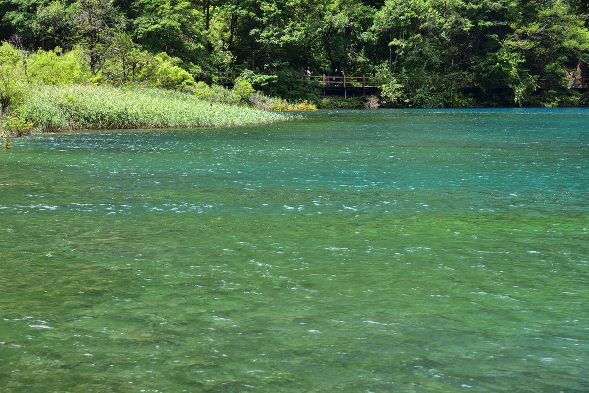 九寨水韵 1