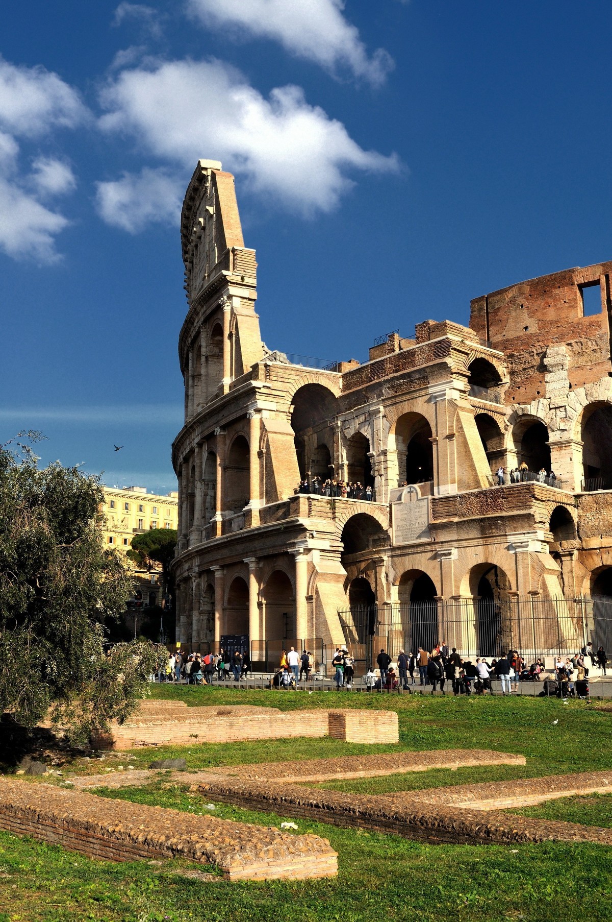 罗马斗兽场老片新发