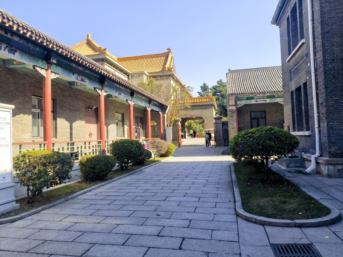 游长春手机随拍（二）