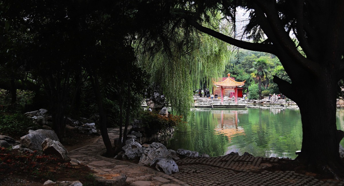 西苑公园7